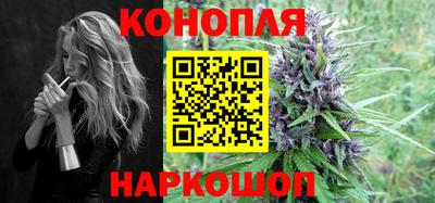 дживик Шелехов