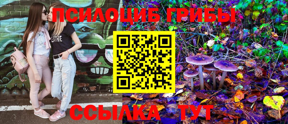 Псилоцибиновые грибы Cubensis Десногорск