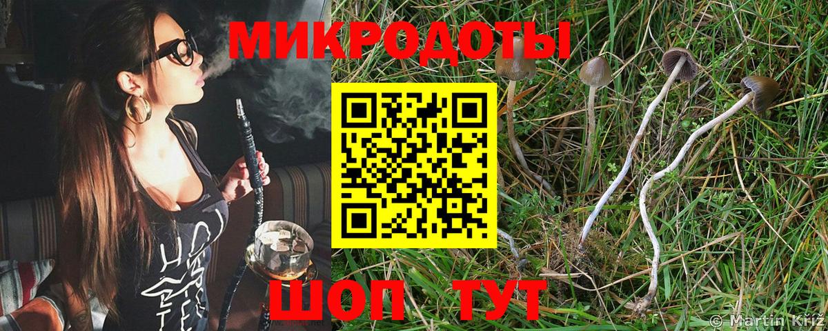 Псилоцибиновые грибы Magic Shrooms  Вход с VPN  Десногорск 